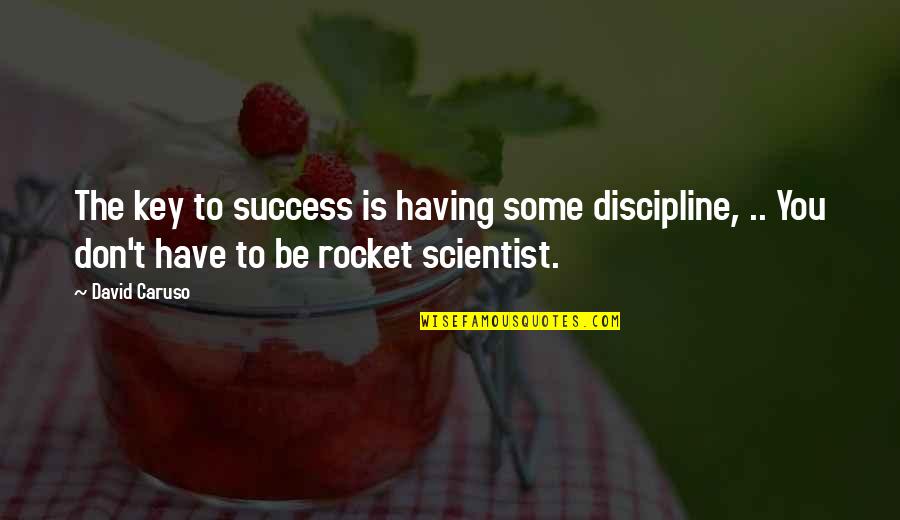 Some Discipline Quotes By David Caruso: The key to success is having some discipline,