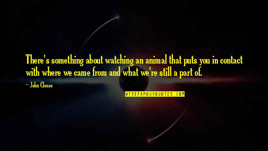 Something About You Quotes By John Cleese: There's something about watching an animal that puts