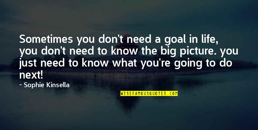 Sometimes Love Quotes By Sophie Kinsella: Sometimes you don't need a goal in life,