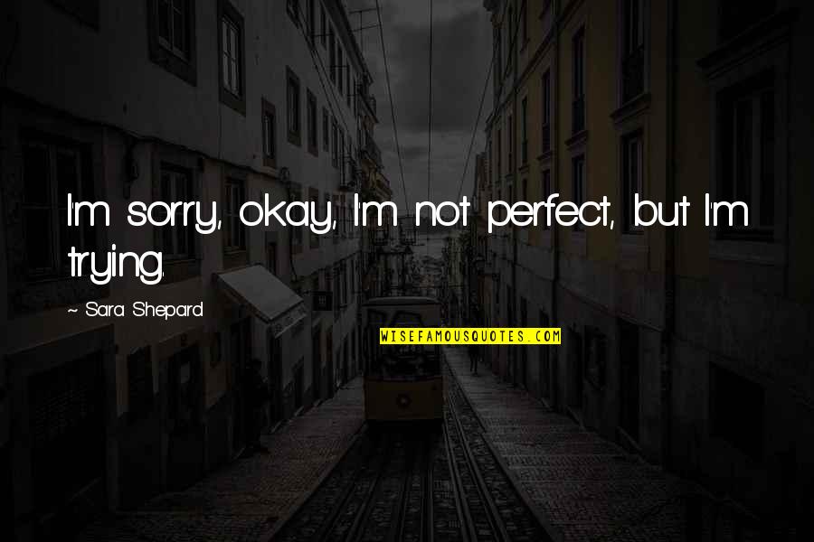 Sorry You're Sad Quotes By Sara Shepard: I'm sorry, okay, I'm not perfect, but I'm