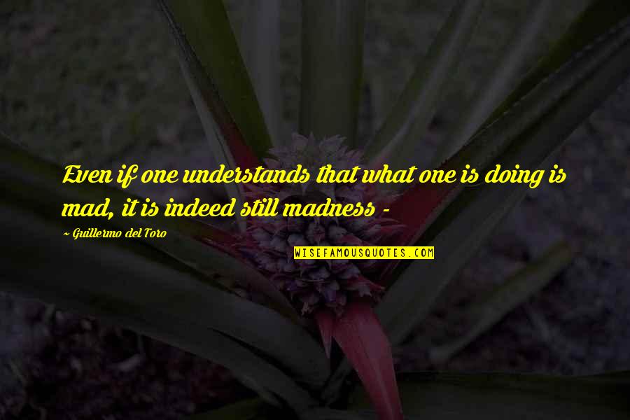 Sotabin Quotes By Guillermo Del Toro: Even if one understands that what one is