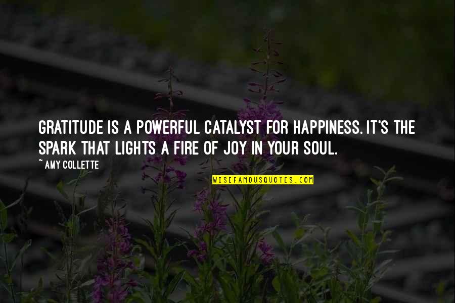 Soul In Fire Quotes By Amy Collette: Gratitude is a powerful catalyst for happiness. It's