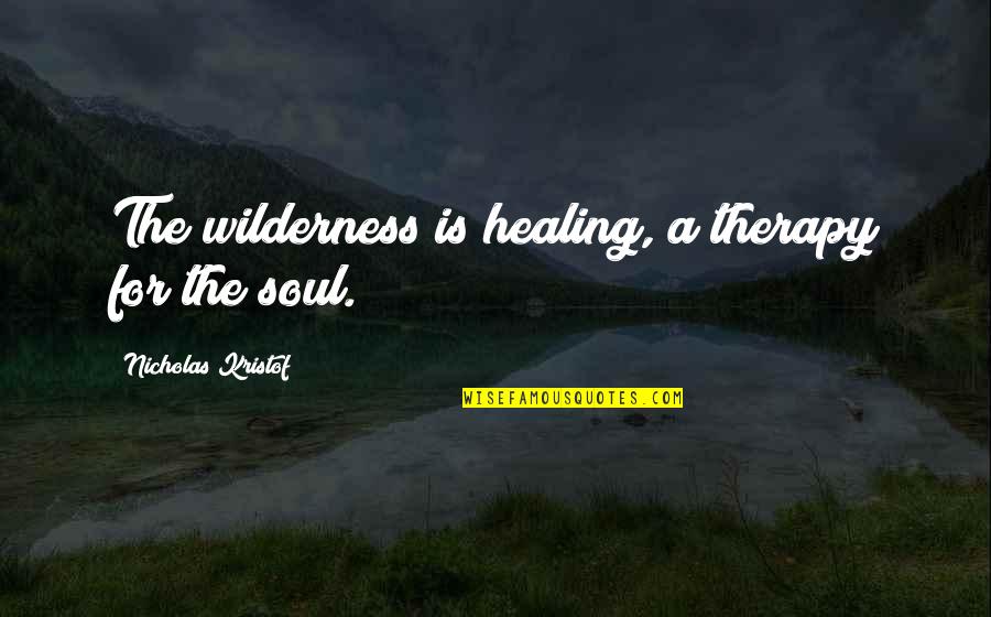 Soul Therapy Quotes By Nicholas Kristof: The wilderness is healing, a therapy for the