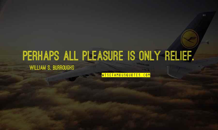 Sowie G Ry Quotes By William S. Burroughs: Perhaps all pleasure is only relief.