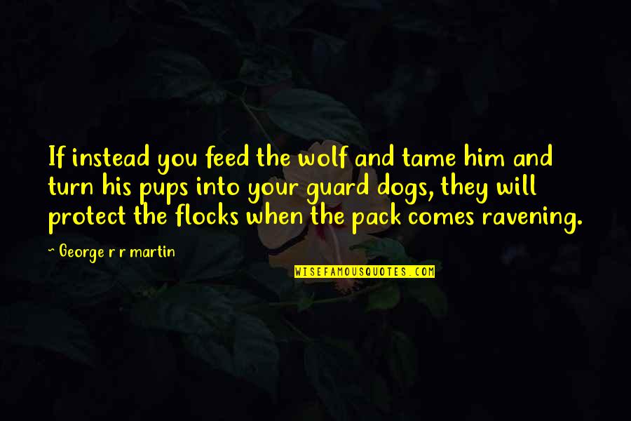 Spampinato Francesco Quotes By George R R Martin: If instead you feed the wolf and tame