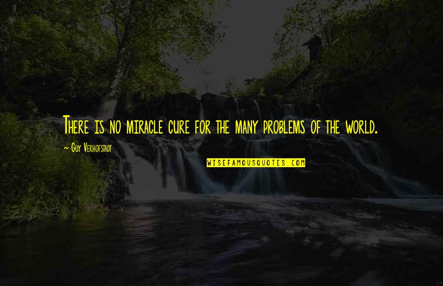 Spark Motivational Quotes By Guy Verhofstadt: There is no miracle cure for the many