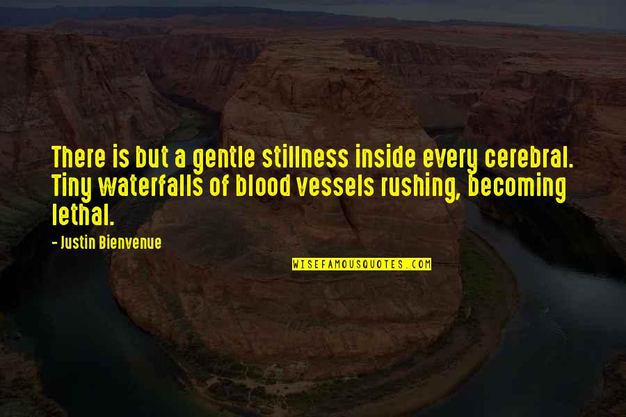 Speedboat Tours Quotes By Justin Bienvenue: There is but a gentle stillness inside every