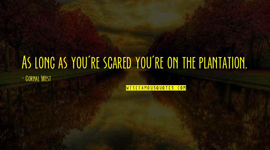 Spend Money Wisely Quotes By Cornal West: As long as you're scared you're on the