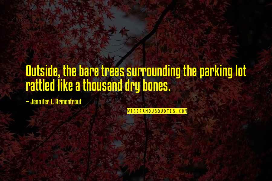 Spenser For Hire Hawk Quotes By Jennifer L. Armentrout: Outside, the bare trees surrounding the parking lot