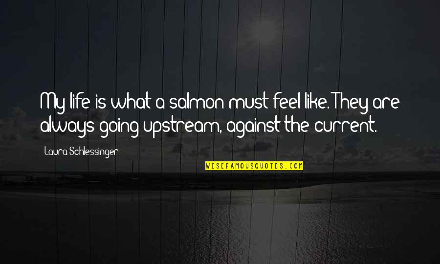 Spieren Onderrug Quotes By Laura Schlessinger: My life is what a salmon must feel