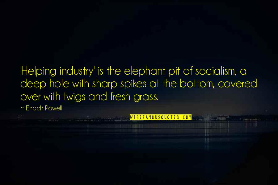 Spikes Quotes By Enoch Powell: 'Helping industry' is the elephant pit of socialism,