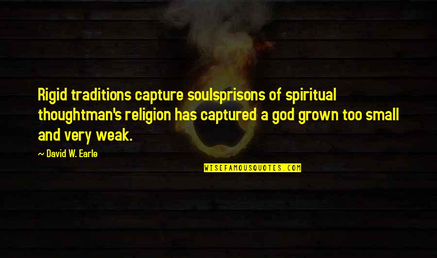 Spirituality And Religion Quotes By David W. Earle: Rigid traditions capture soulsprisons of spiritual thoughtman's religion