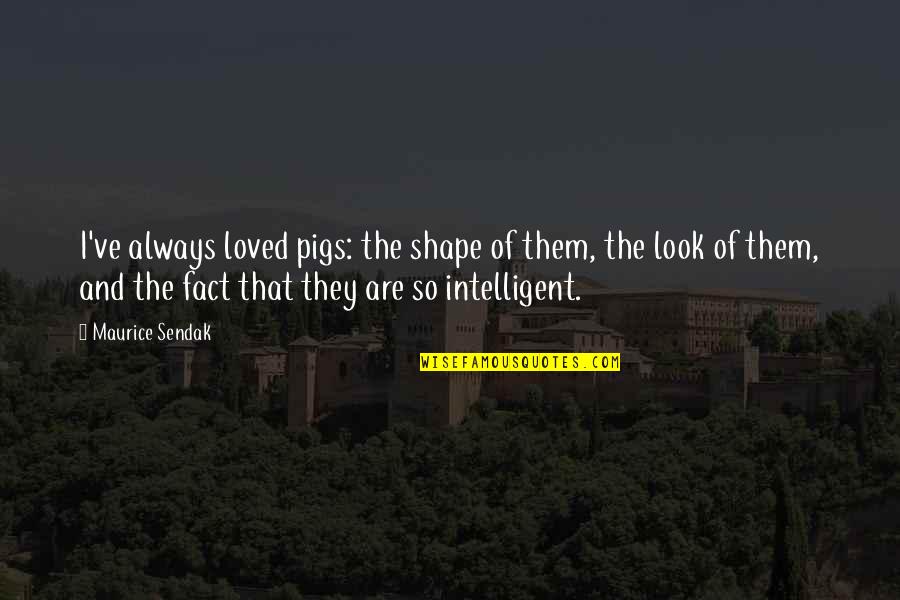 Spontaneous Human Combustion Quotes By Maurice Sendak: I've always loved pigs: the shape of them,