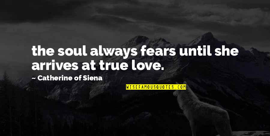 Sprigged Fabric Quotes By Catherine Of Siena: the soul always fears until she arrives at