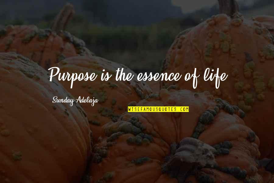 Sproglets Quotes By Sunday Adelaja: Purpose is the essence of life