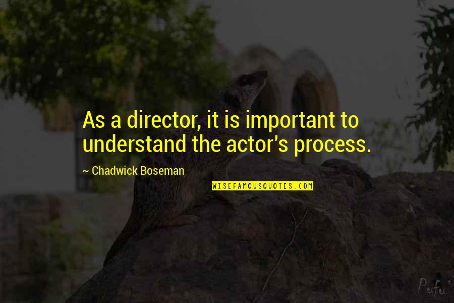 Sputum Afb Quotes By Chadwick Boseman: As a director, it is important to understand