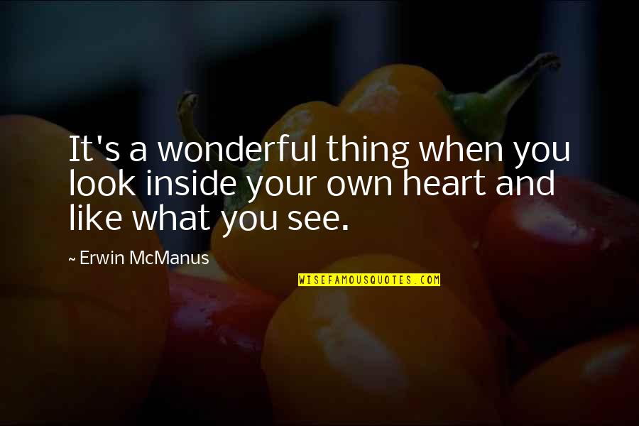 Spx Quotes By Erwin McManus: It's a wonderful thing when you look inside