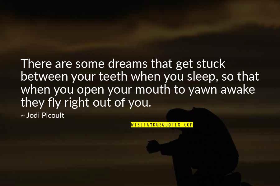 Sreekumar Pronunciation Quotes By Jodi Picoult: There are some dreams that get stuck between