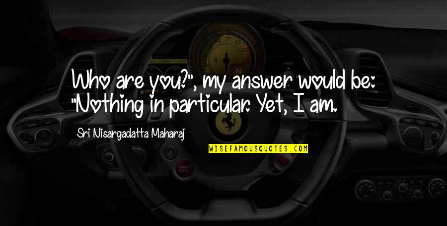 Sri Nisargadatta Quotes By Sri Nisargadatta Maharaj: Who are you?", my answer would be: "Nothing