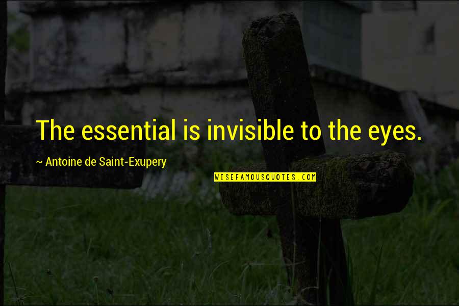 Stacy Keach Quotes By Antoine De Saint-Exupery: The essential is invisible to the eyes.