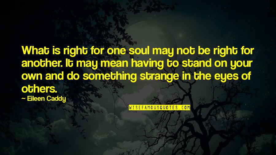 Stand For What Is Right Quotes By Eileen Caddy: What is right for one soul may not