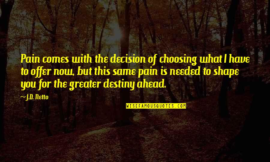 Stardust Memories Quotes By J.D. Netto: Pain comes with the decision of choosing what