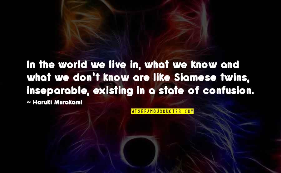 State Of The World Quotes By Haruki Murakami: In the world we live in, what we