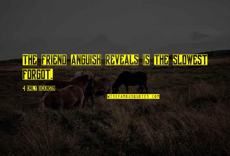 Steinbruck Center Quotes By Emily Dickinson: The friend anguish reveals is the slowest forgot.