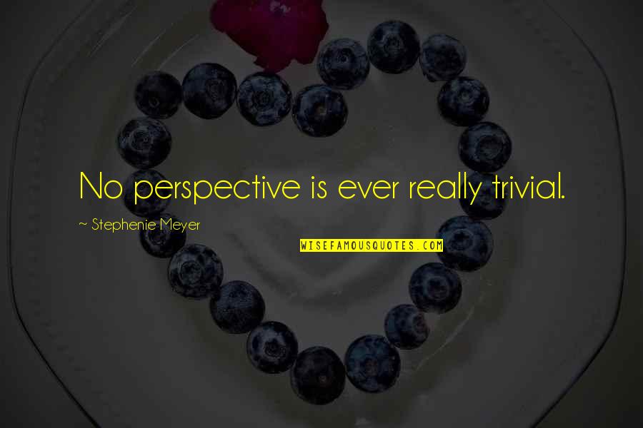 Stephenie Quotes By Stephenie Meyer: No perspective is ever really trivial.