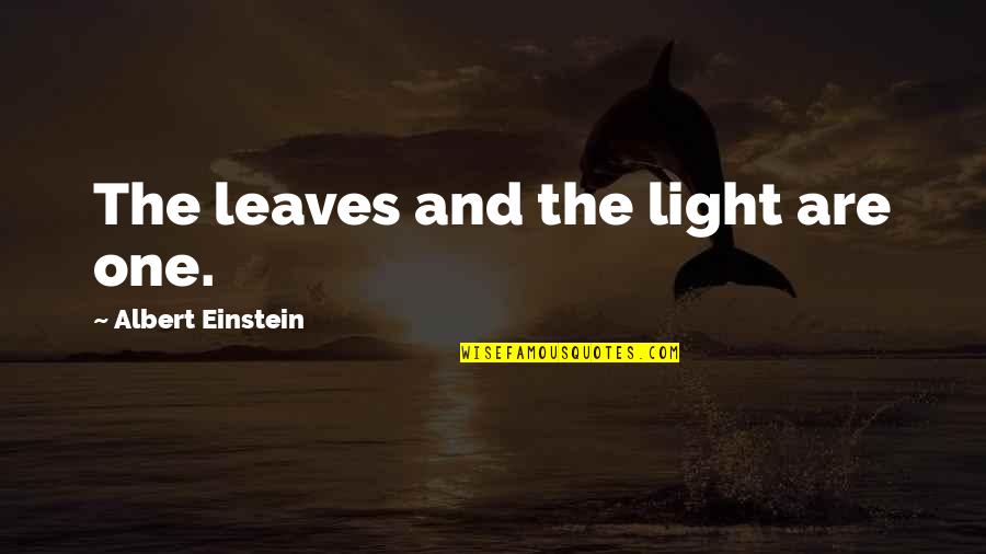 Steve Gaines Quotes By Albert Einstein: The leaves and the light are one.