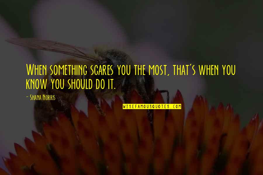 Stiavelli Packaging Quotes By Shana Norris: When something scares you the most, that's when