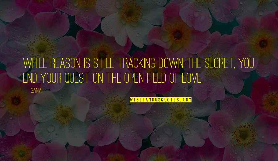 Still Love You Quotes By Sanai: While reason is still tracking down the secret,