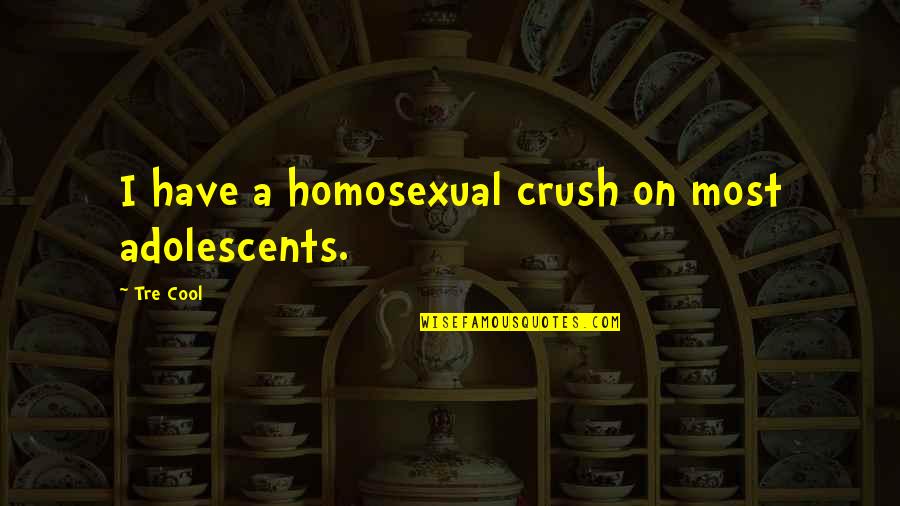 Stolen Earth Quotes By Tre Cool: I have a homosexual crush on most adolescents.