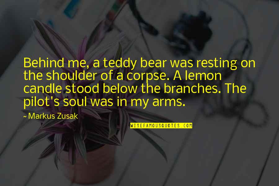 Stood By Me Quotes By Markus Zusak: Behind me, a teddy bear was resting on