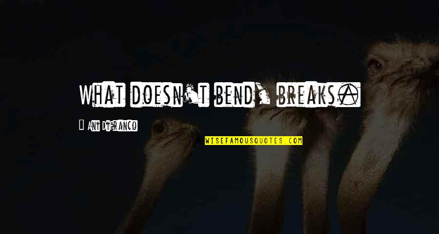 Stop Doing Bad Things Quotes By Ani DiFranco: What doesn't bend, breaks.