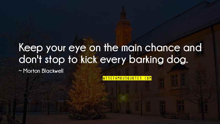 Stop Every Now And Then Quotes By Morton Blackwell: Keep your eye on the main chance and