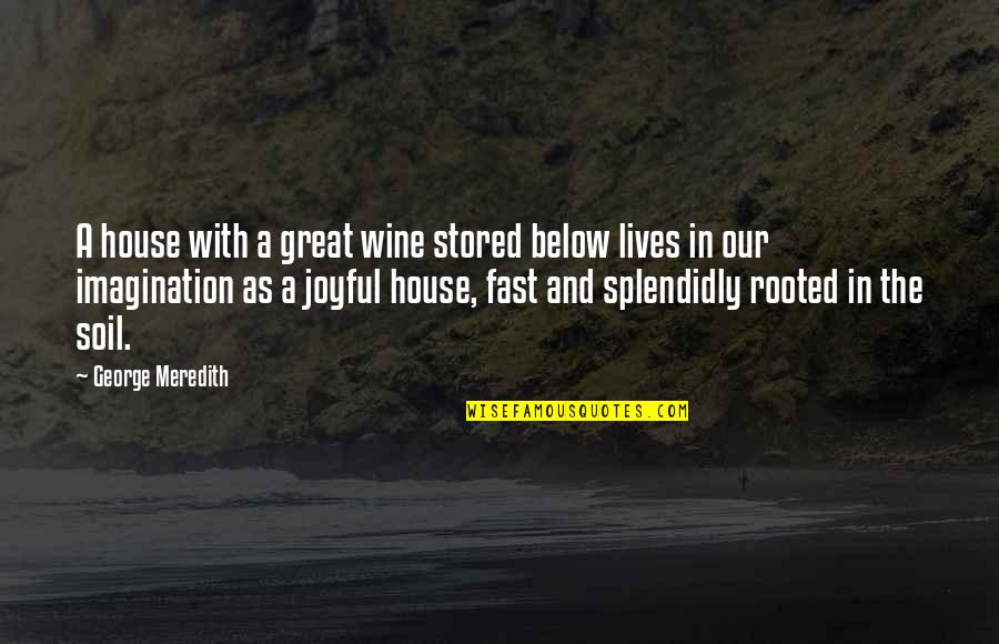 Stored Quotes By George Meredith: A house with a great wine stored below