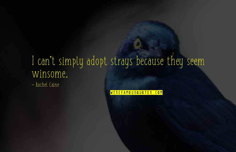 Strandlund Investments Quotes By Rachel Caine: I can't simply adopt strays because they seem