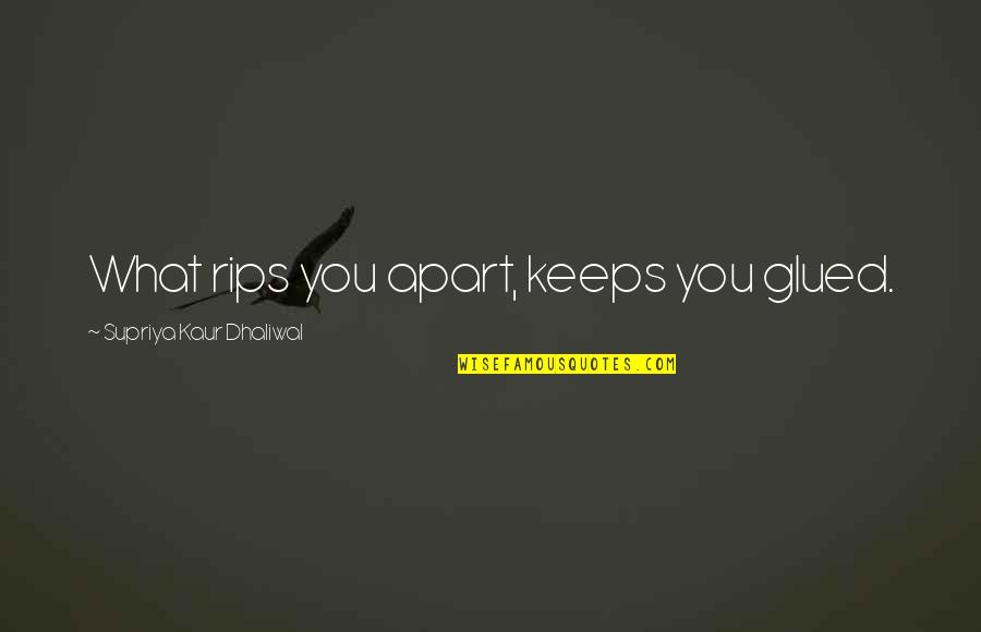 Stratospheric Controlled Quotes By Supriya Kaur Dhaliwal: What rips you apart, keeps you glued.