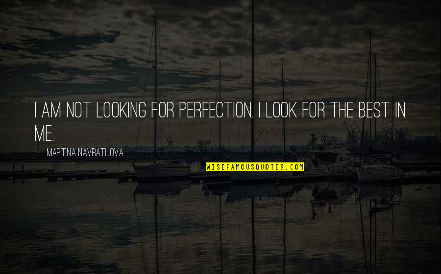 Stress Gym Quotes By Martina Navratilova: I am not looking for perfection. I look