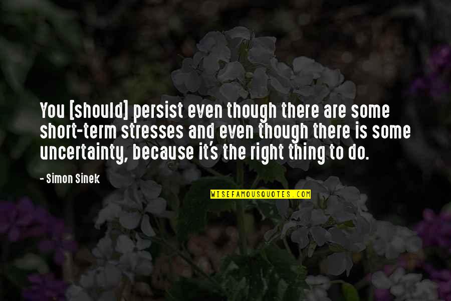 Stresses Are Stresses Quotes By Simon Sinek: You [should] persist even though there are some