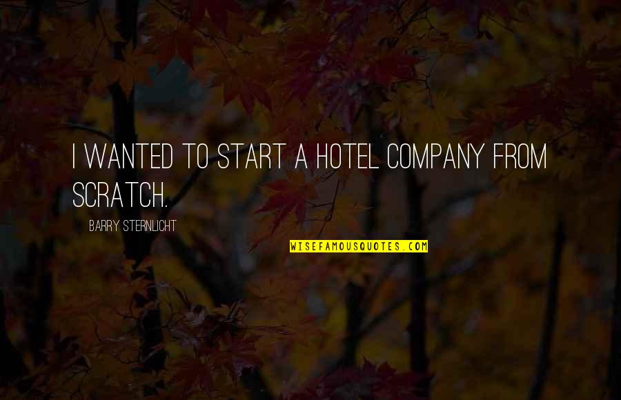 Strychnine Gopher Quotes By Barry Sternlicht: I wanted to start a hotel company from