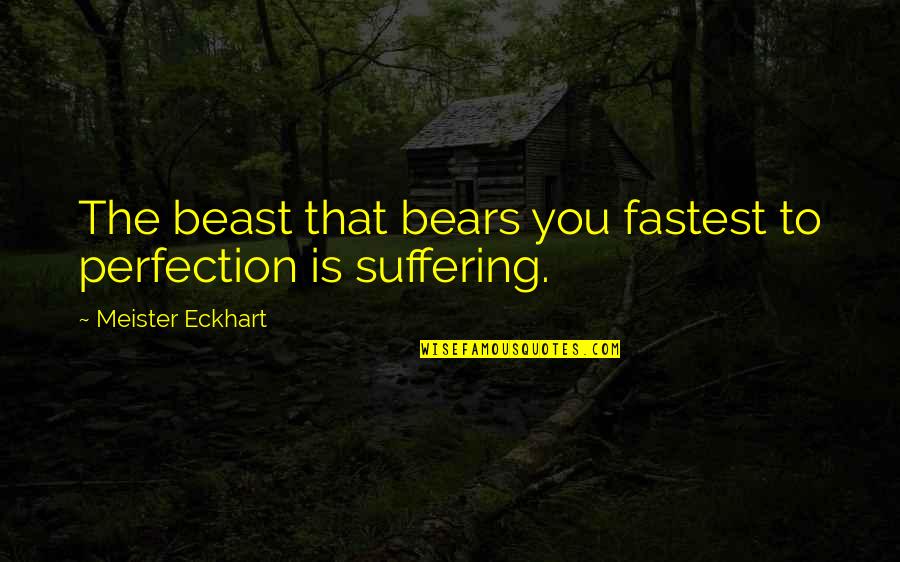 Stuck By Your Side Quotes By Meister Eckhart: The beast that bears you fastest to perfection