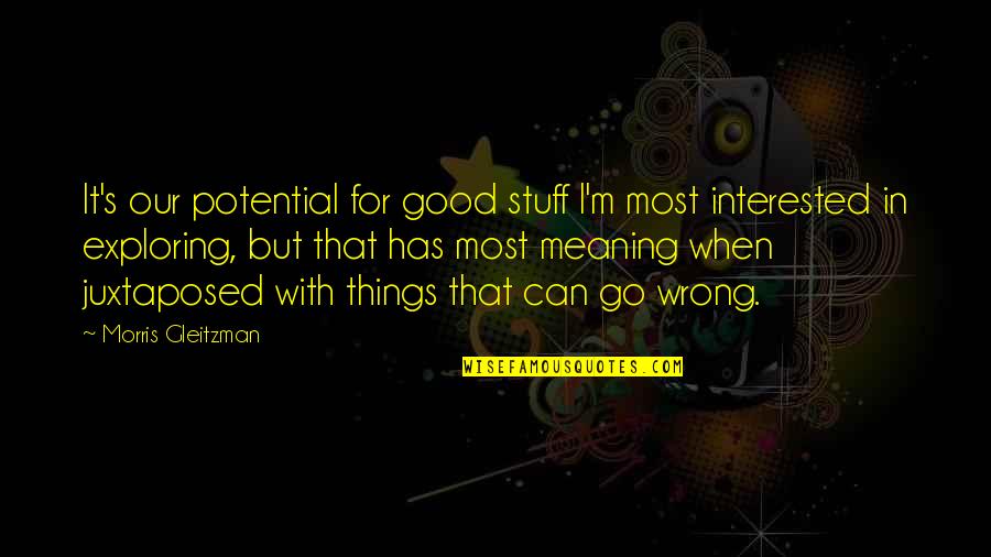 Stuff Things Quotes By Morris Gleitzman: It's our potential for good stuff I'm most