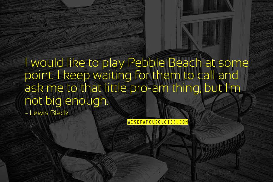 Stupid Acts Quotes By Lewis Black: I would like to play Pebble Beach at