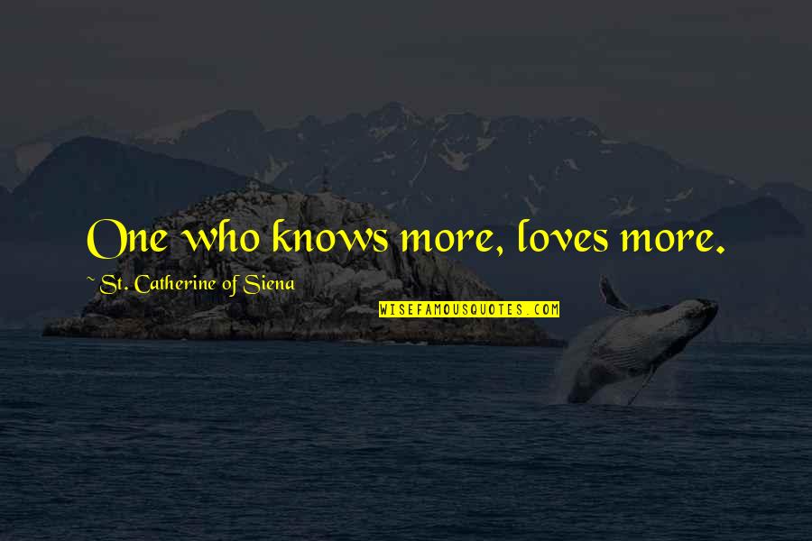 Stupid Anti Gay Quotes By St. Catherine Of Siena: One who knows more, loves more.