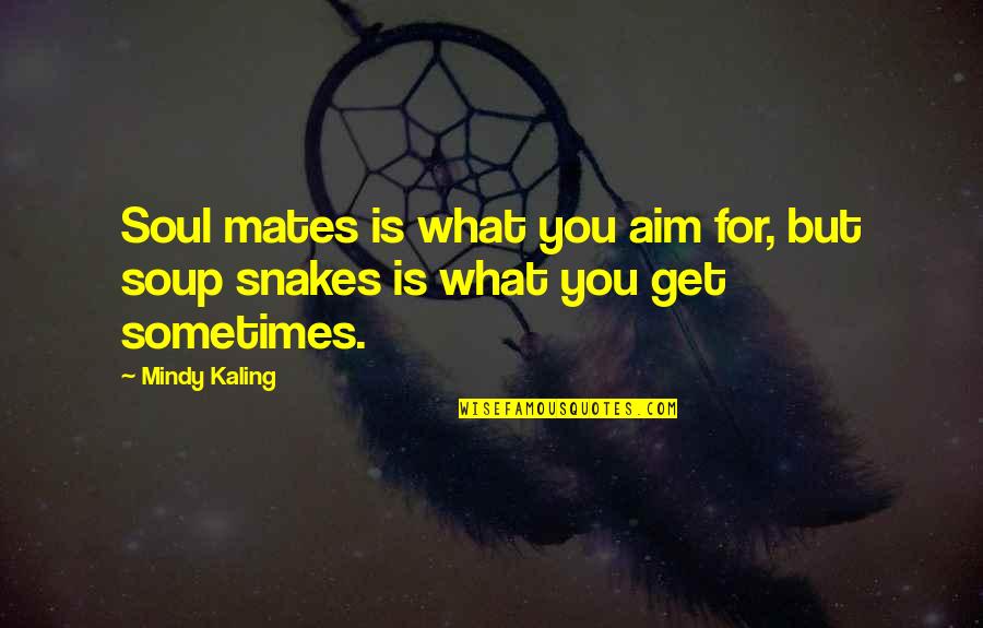 Stylus Quotes By Mindy Kaling: Soul mates is what you aim for, but