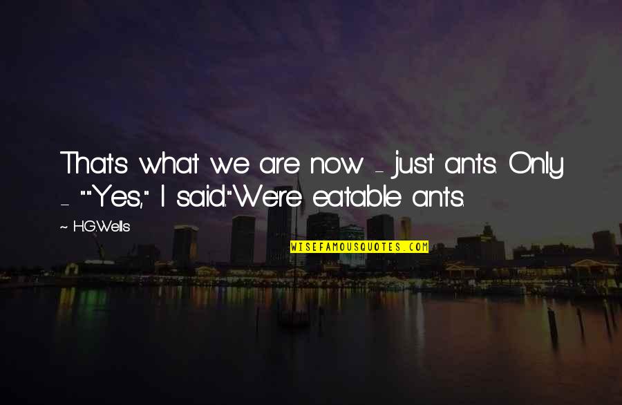 Subdesarrollados Quotes By H.G.Wells: That's what we are now - just ants.