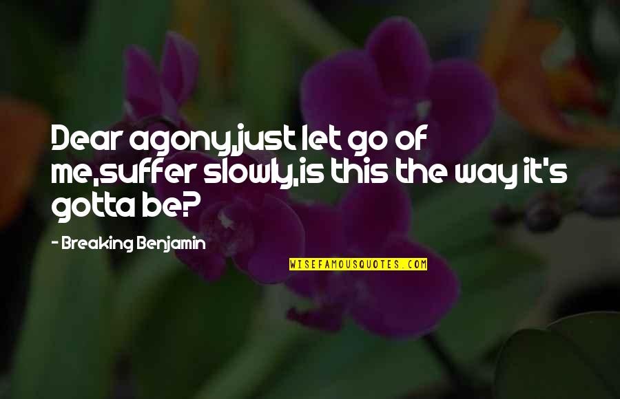 Subterfugio Portugues Quotes By Breaking Benjamin: Dear agony,just let go of me,suffer slowly,is this