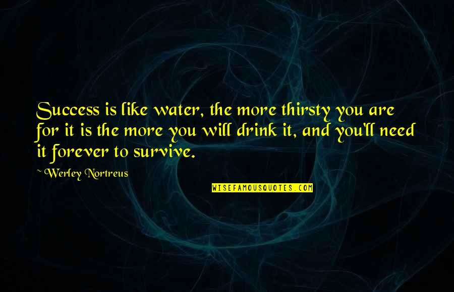 Success And Inspirational Quotes By Werley Nortreus: Success is like water, the more thirsty you